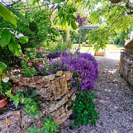 Ancien Chais, Climatisation, Aire De Loisirs Avec Piscine بيت للعطل Marigny (Poitou-Charentes)